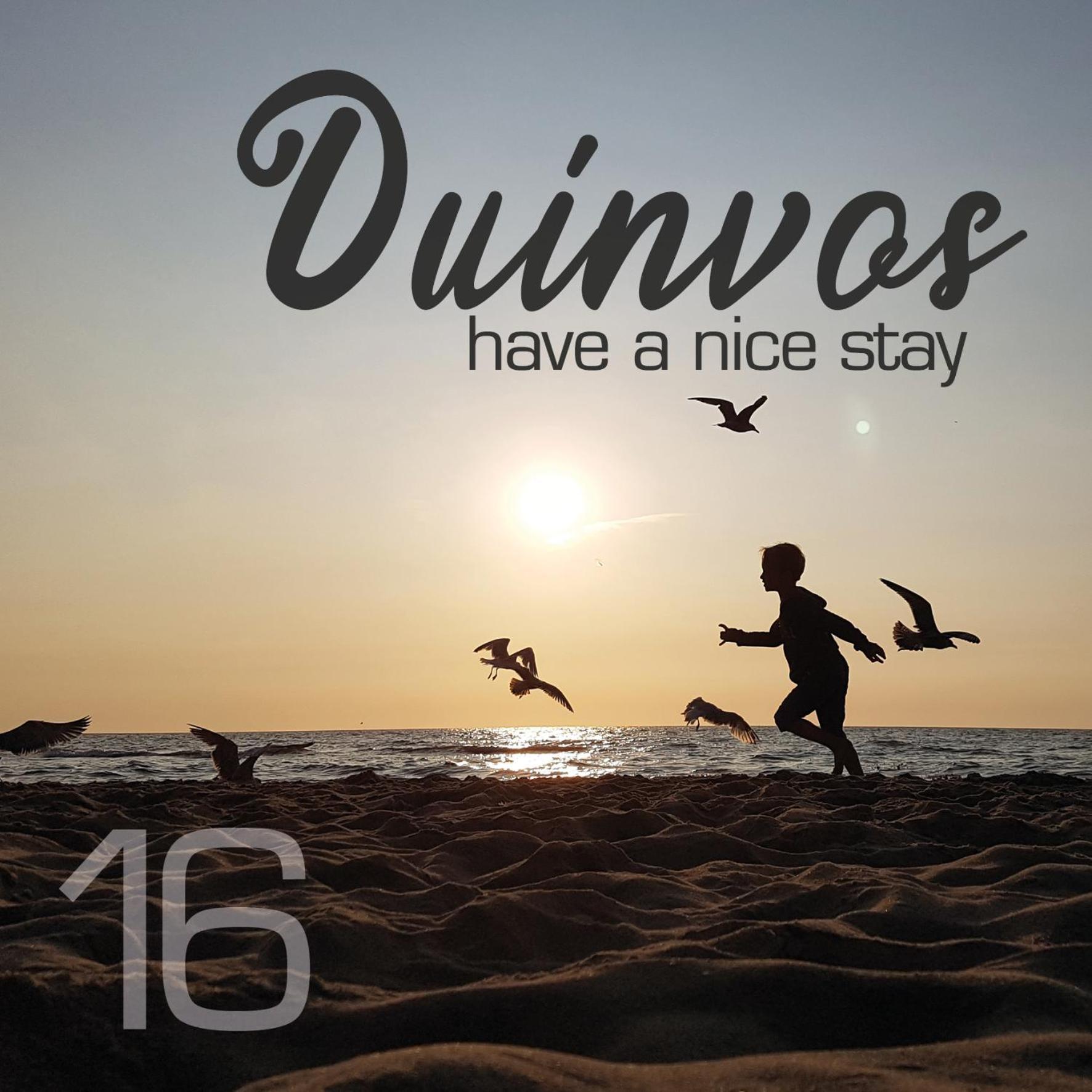 Apartment Duinvos 150M From The Beach Noordwijk Ngoại thất bức ảnh